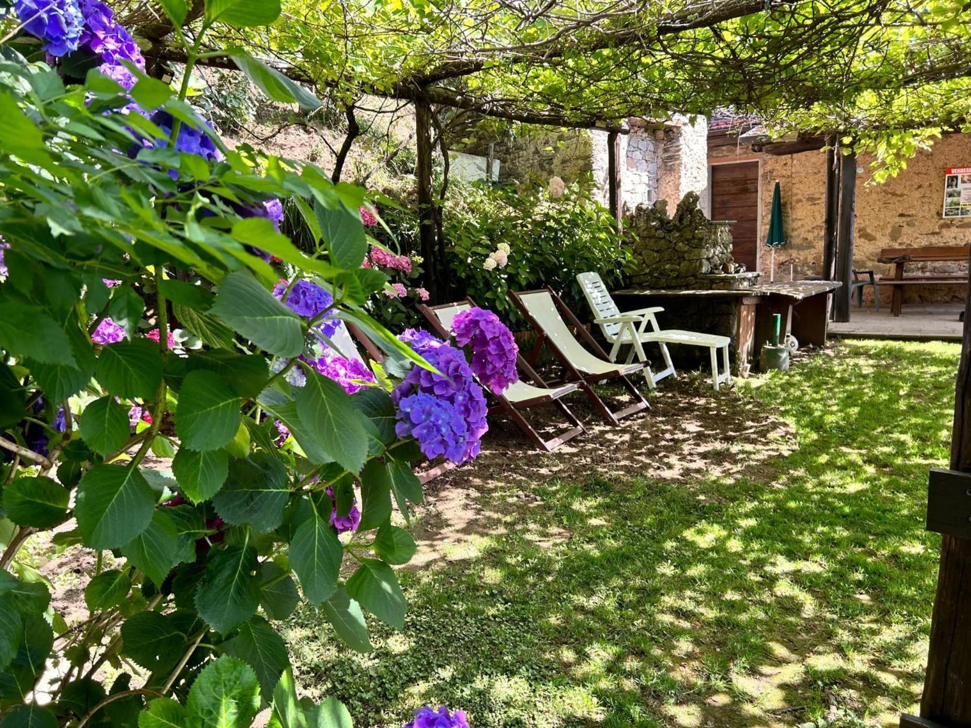 Il Frutteto Natura A Relax Stazzema Zewnętrze zdjęcie