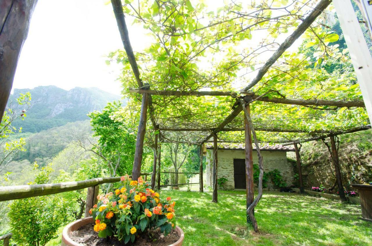 Il Frutteto Natura A Relax Stazzema Zewnętrze zdjęcie