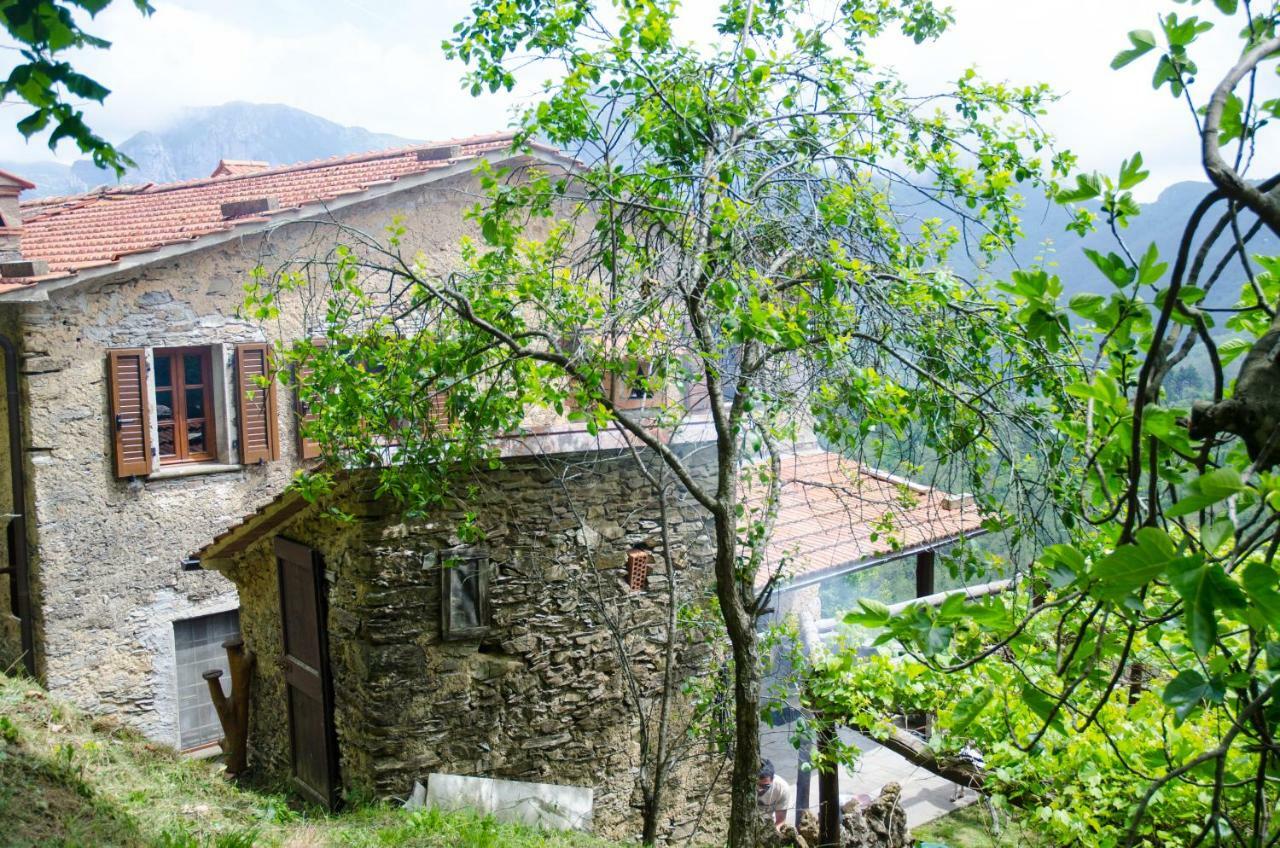 Il Frutteto Natura A Relax Stazzema Zewnętrze zdjęcie